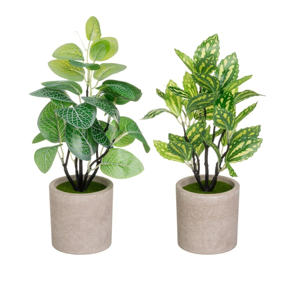 Plante artificiale 2 buc. (înălțime 28 cm) – Casa Selección