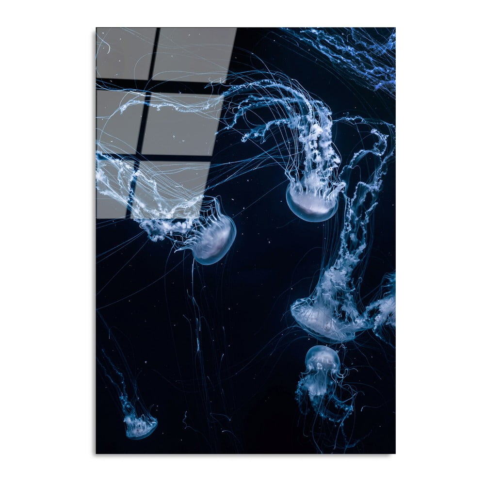 Tablou din sticlă 70x100 cm Jelly Fish – Wallity