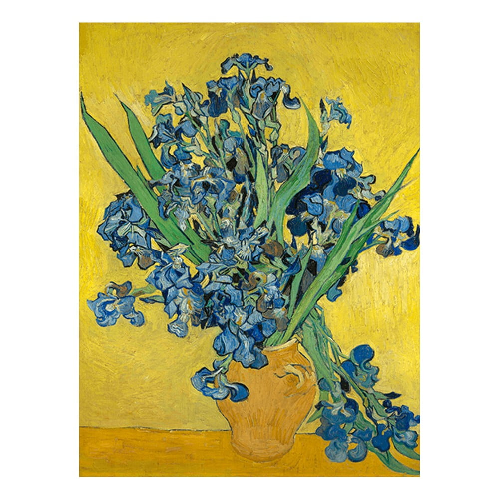 Reproducere pe pânză după Vincent van Gogh – Irises, 60 x 45 cm bonami.ro