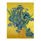 Reproducere pe pânză după Vincent van Gogh - Irises, 60 x 45 cm