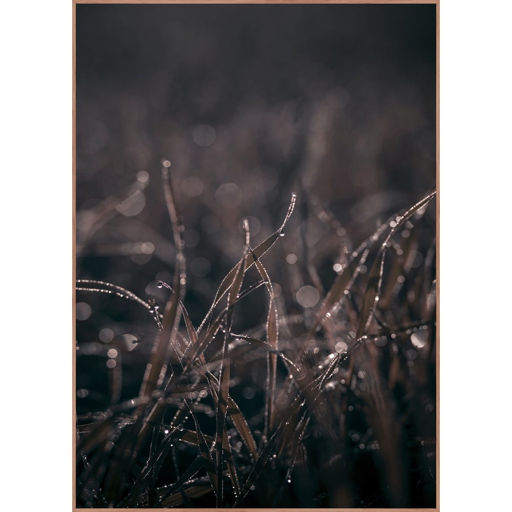 Poster cu ramă 50x70 cm Mellow Grasses 5 – Malerifabrikken