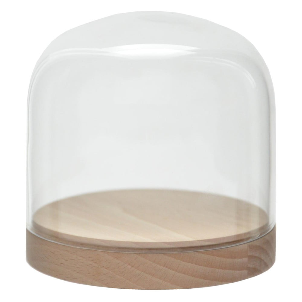 Recipient din sticlă Pleasure Dome Beech, 13 cm bonami.ro imagine 2022