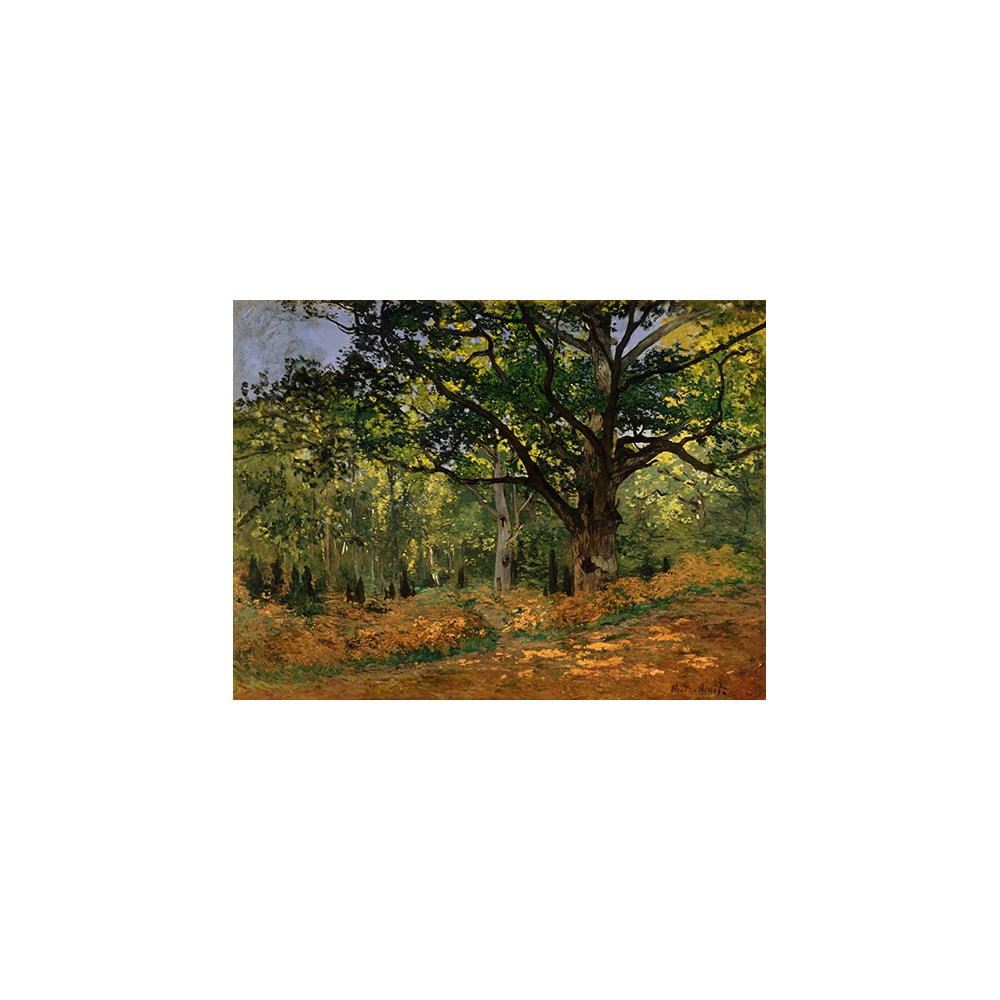 Reproducere pe pânză după Claude Monet – The Bodmer Oak, Fontainebleau Forest, 70 x 50 cm Bodmer imagine 2022