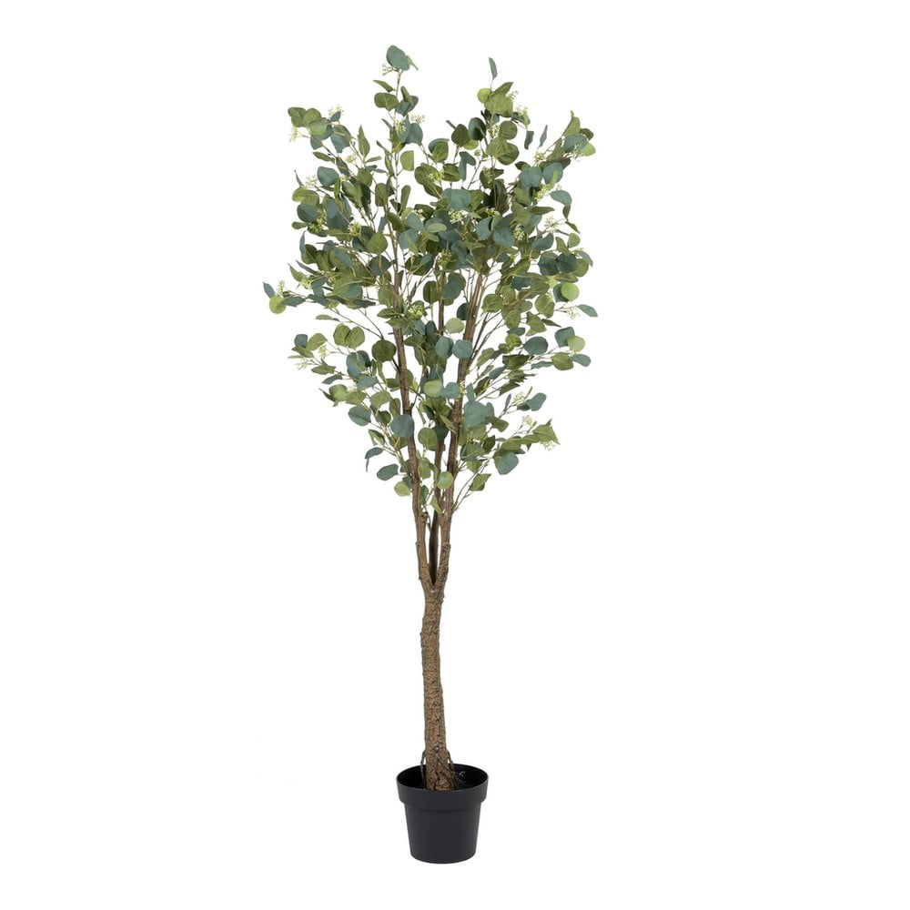 Eucalipt artificial (înălțime 173 cm) Eucalyptus – Ixia