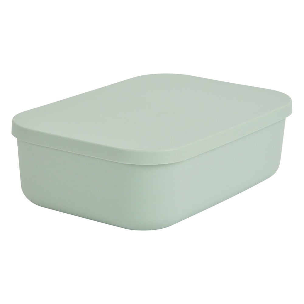 Cutie de depozitare verde-deschis din plastic cu capac 24x18x8 cm – Homéa