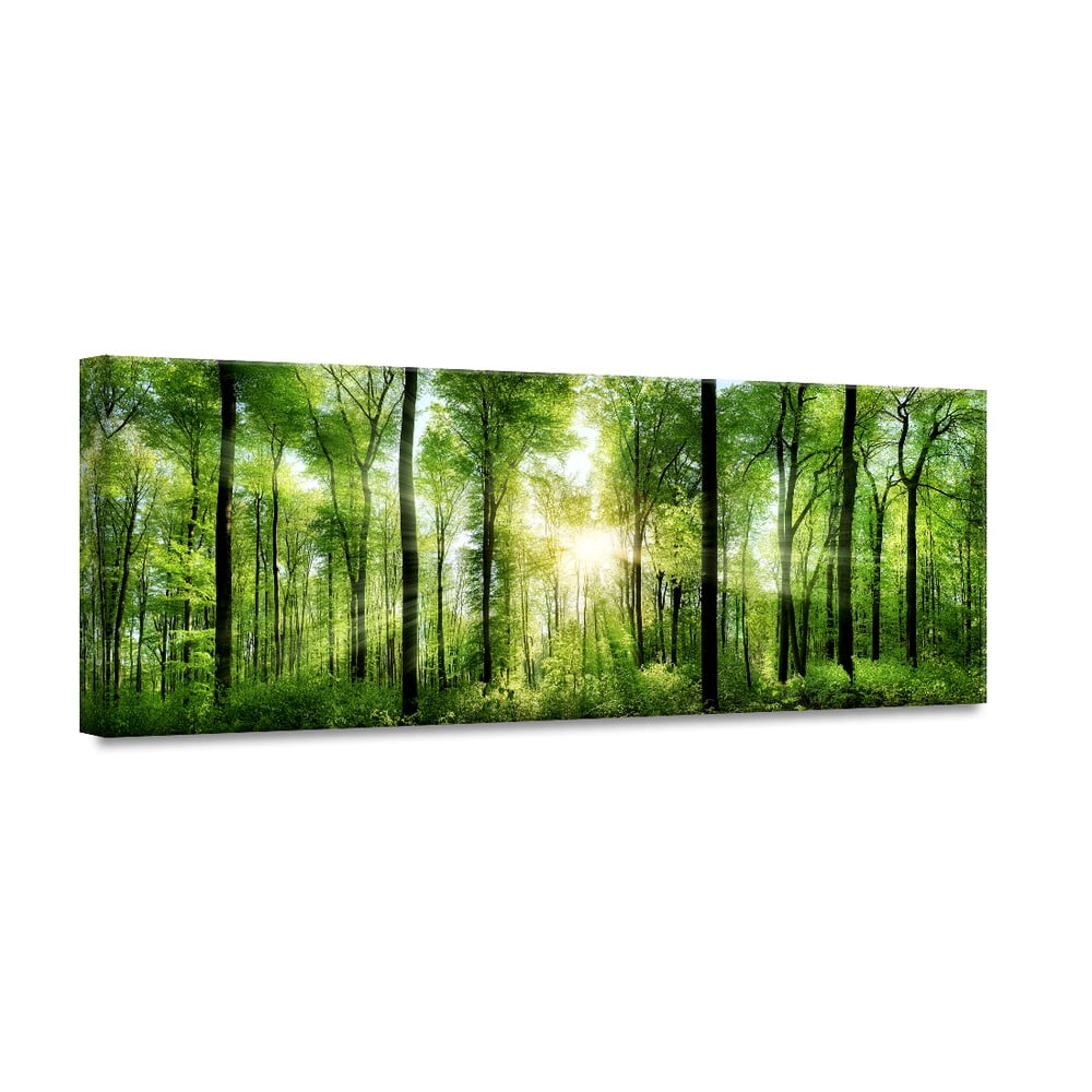 Poza Tablou Styler Glasspik Nature Sunlight, 50 x 125 cm