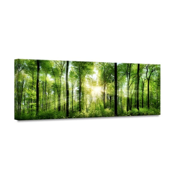Tablou Styler Glasspik Nature Sunlight, 50 x 125 cm