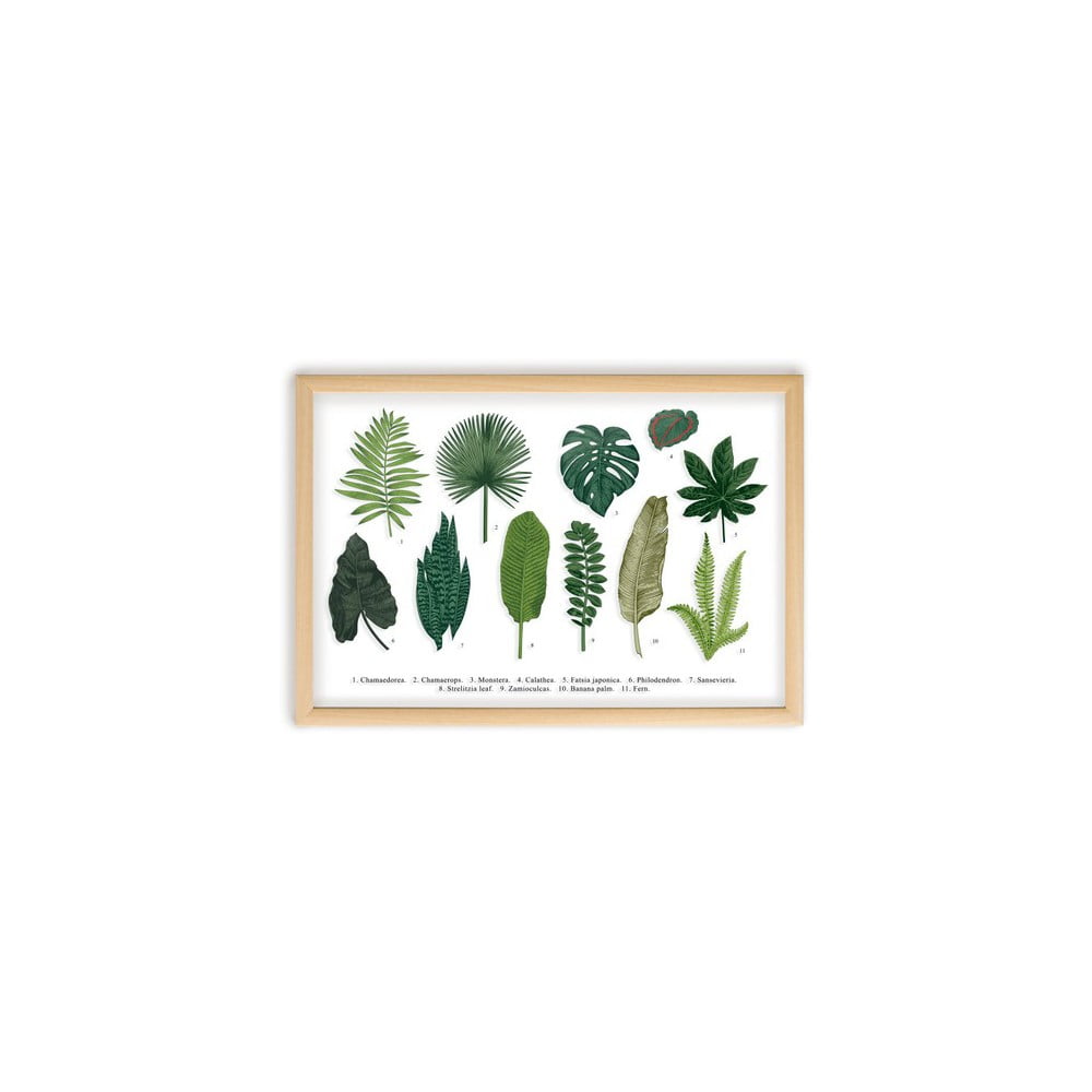 Poza Tablou cu rama din lemn de pin Surdic Leafes Guide, 50 x 70 cm