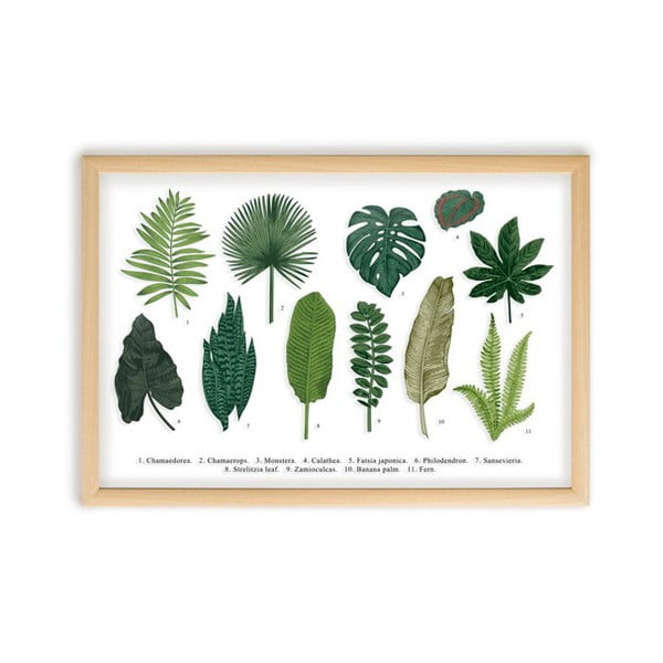 Tablou cu ramă din lemn de pin Surdic Leafes Guide, 50 x 70 cm