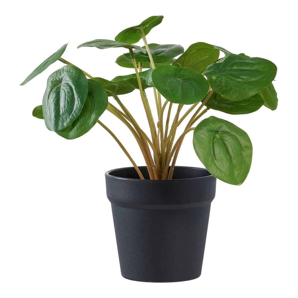 Plantă artificială (înălțime 28 cm) Pelia – House Nordic