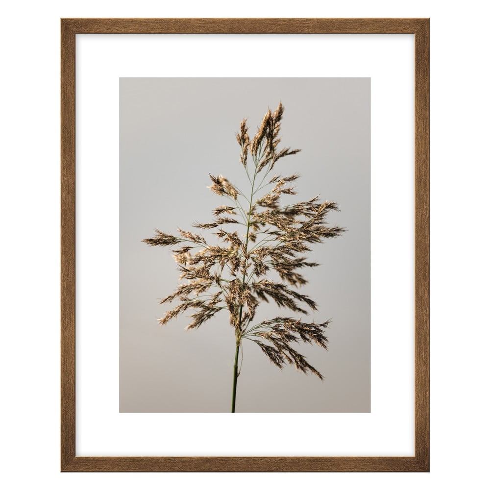 Poster 40x50 cm meadow - knor