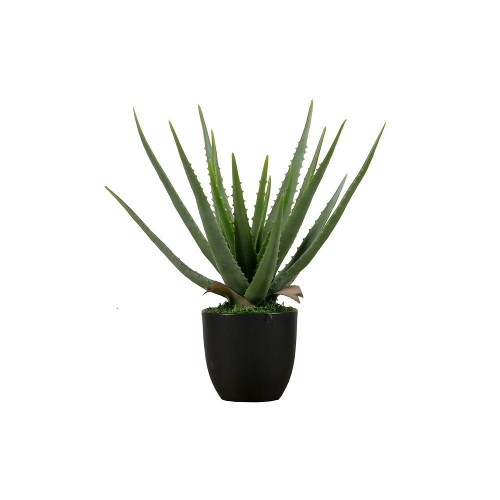 Aloe vera artificială WOOOD, înălțime 46 cm bonami.ro pret redus