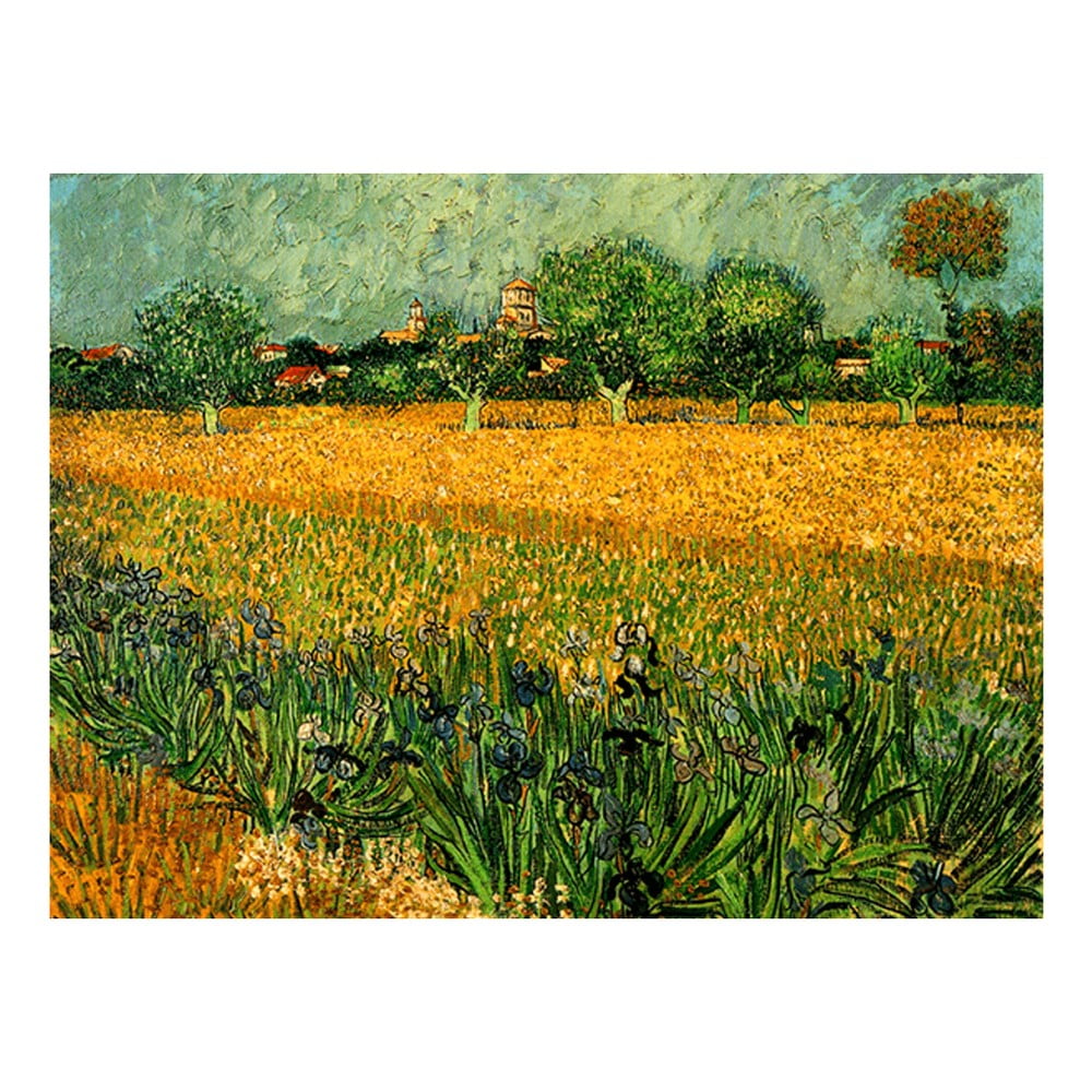 Tablou Vincent van Gogh - View of arles with irises in the foreground, 60x80 cm