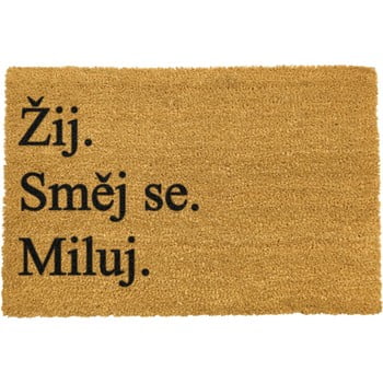 Covoraș intrare din fibre de cocos Artsy Doormats Zij a miluj, 40 x 60 cm