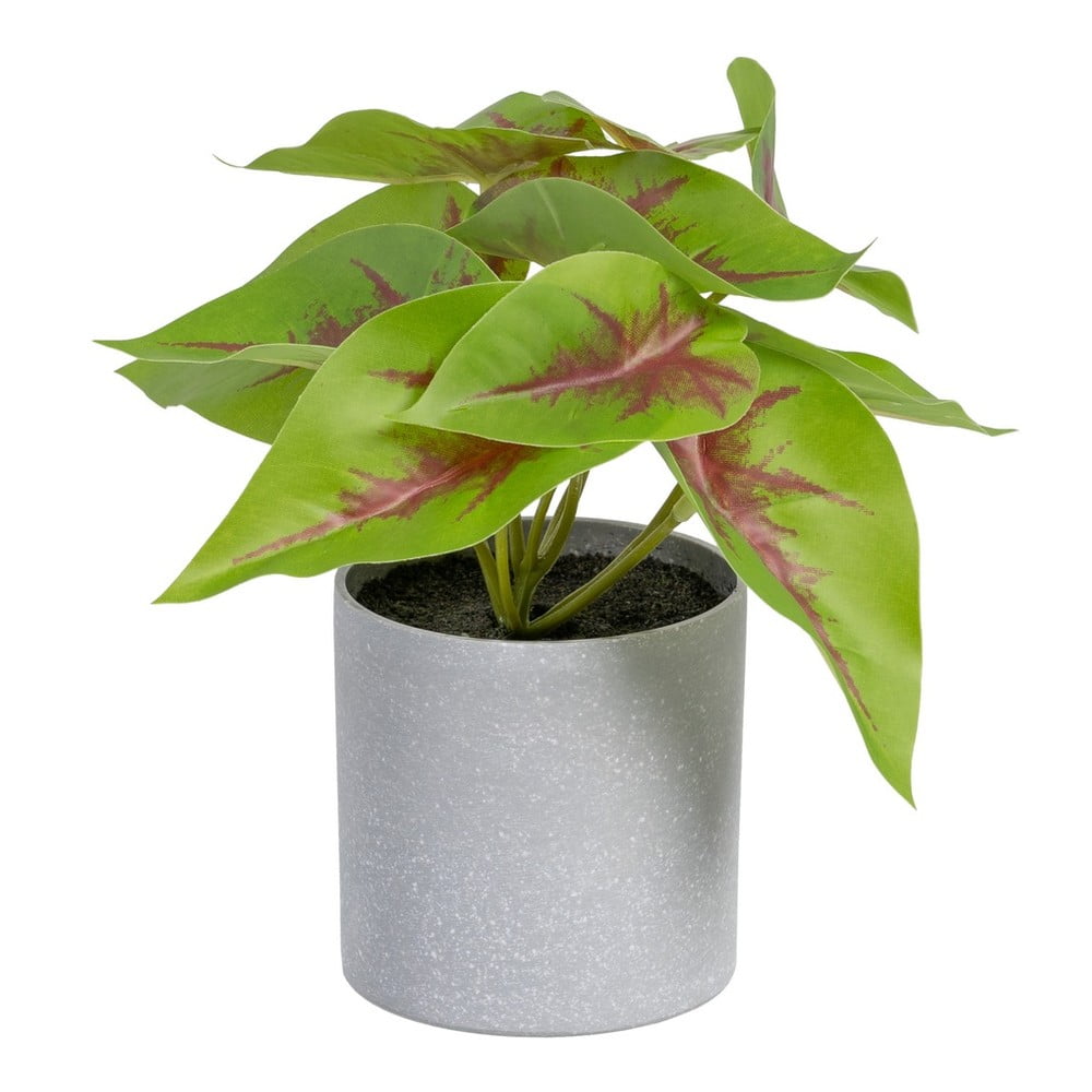 Plantă artificială (înălțime 20 cm) Syngonium – Ixia