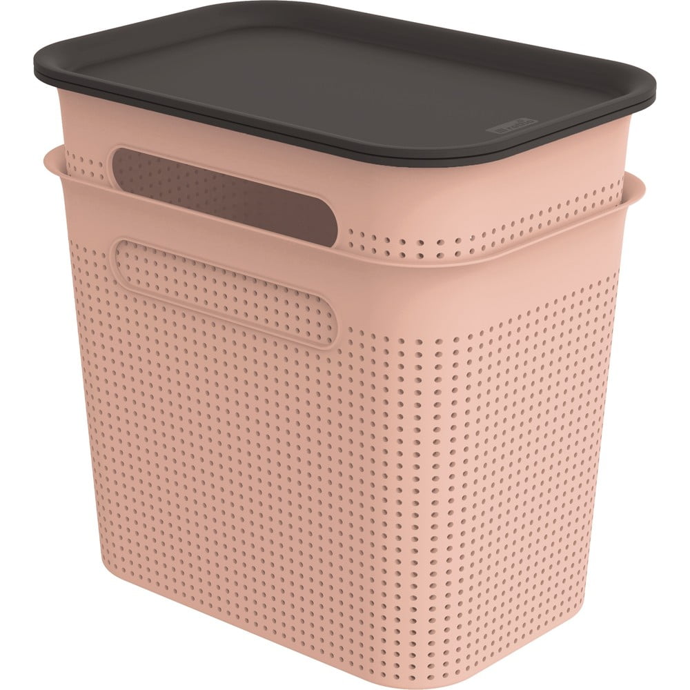 Cutii de depozitare roz-deschis 2 buc. din plastic cu capac 18,5x27x26 cm Brisen – Rotho