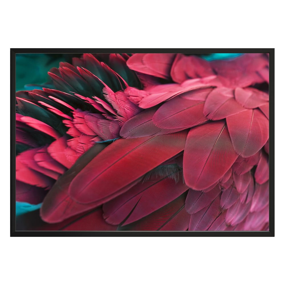 Poster DecoKing Feathers Red, 70 x 50 cm