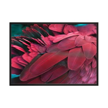 Poster decoking feathers red, 50 x 40 cm