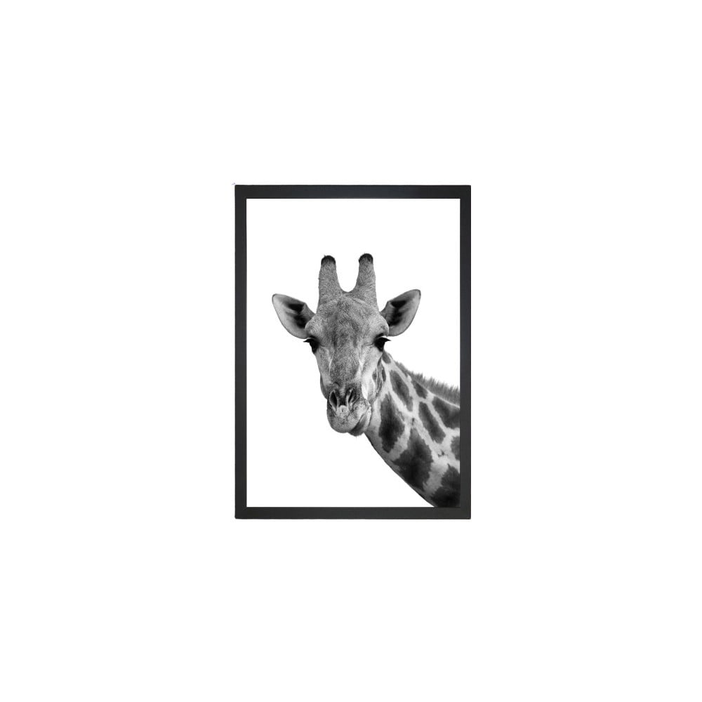 Tablou Tablo Center Giraffe Portrait, 24 x 29 cm bonami.ro