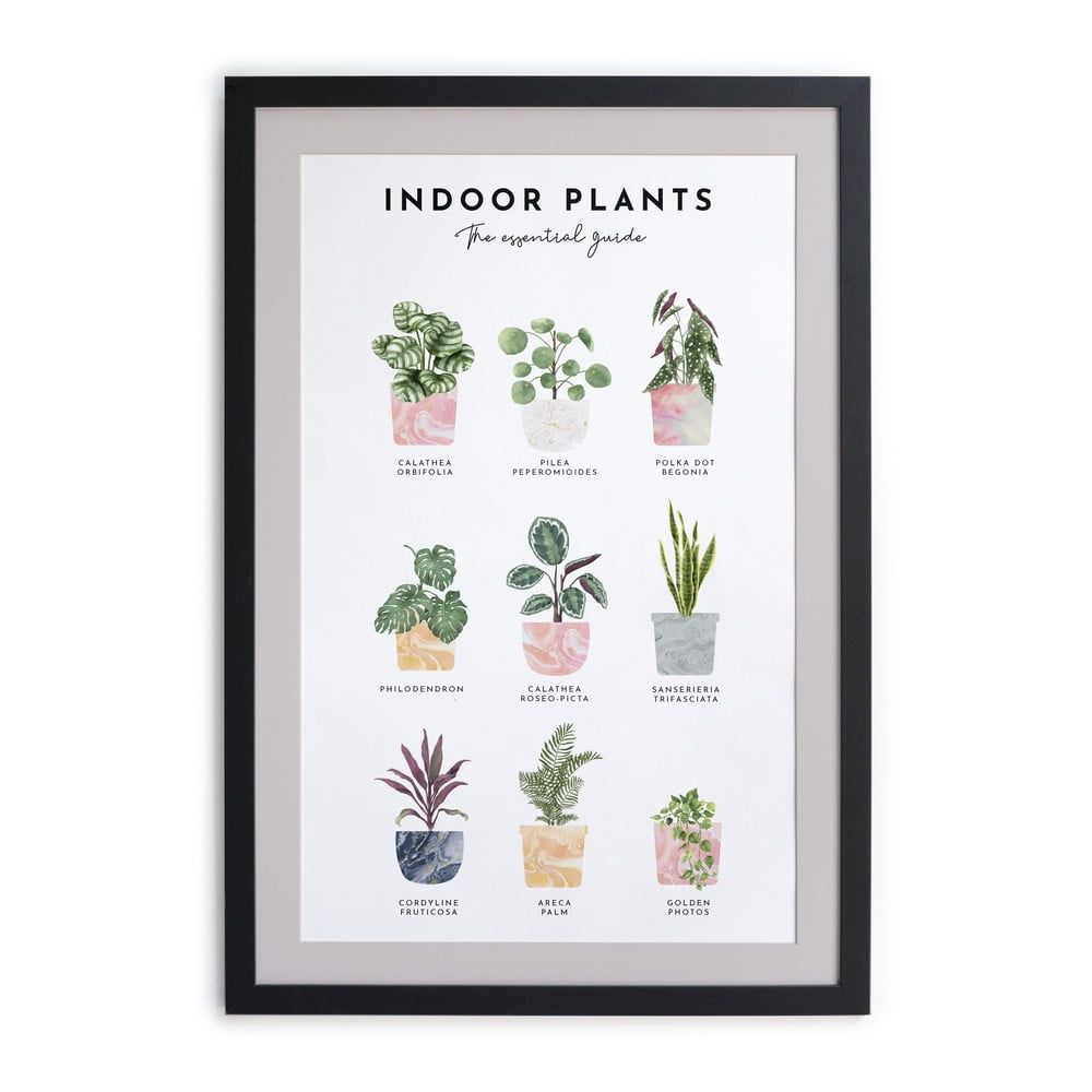 Tablou de perete cu ramă Really Nice Things Indoor Plants, 30 x 40 cm bonami.ro imagine 2022