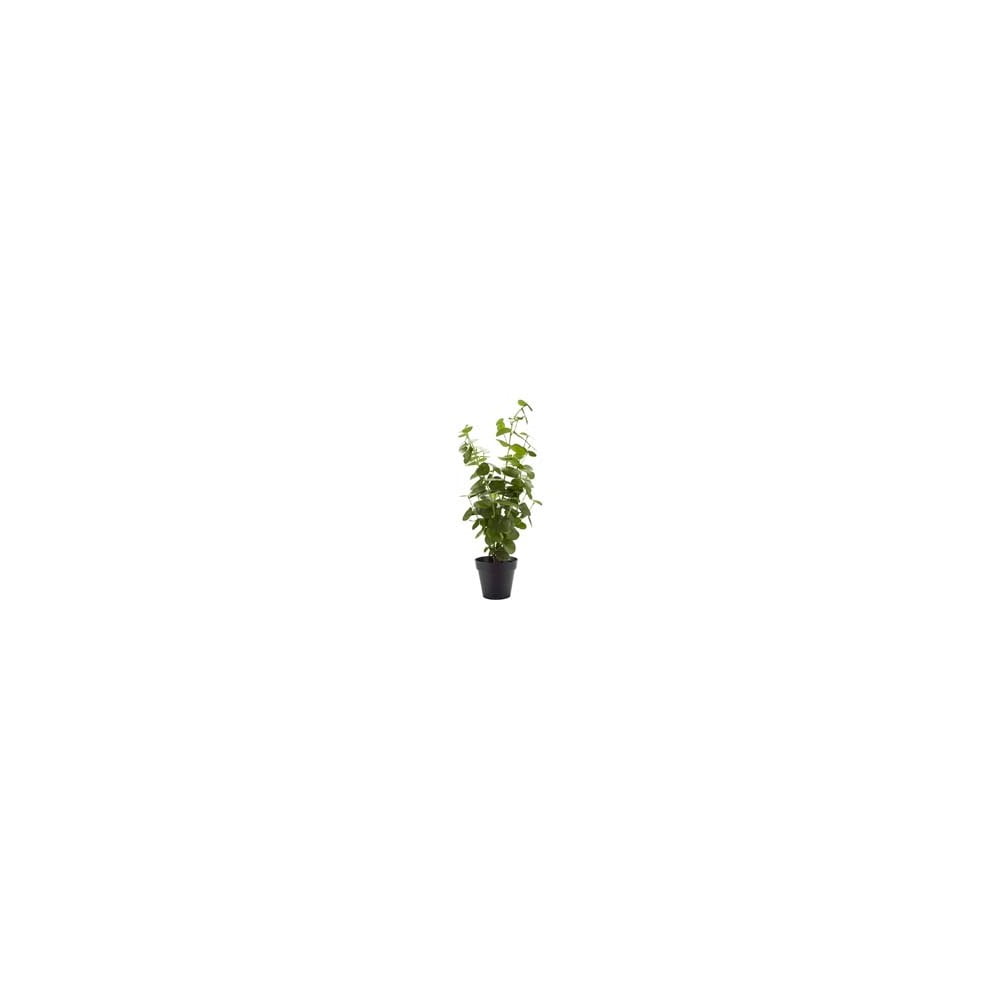 Poza Floare artificiala Bahne & CO, inaltime 55 cm