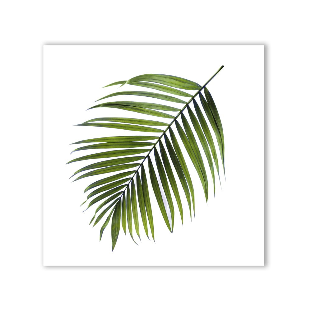 Poza Tablou Styler Canvas Greenery Black Palm, 32 x 32 cm