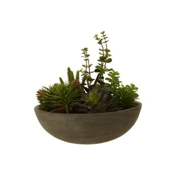 Plantă suculentă artificială în ghiveci premier housewares fiori