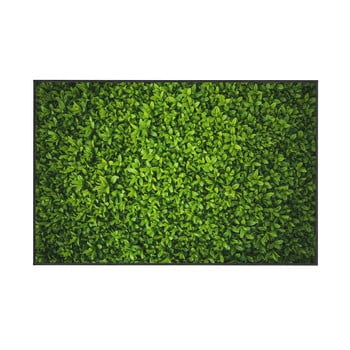 Covor oyo home ivy, 100 x 140 cm, verde