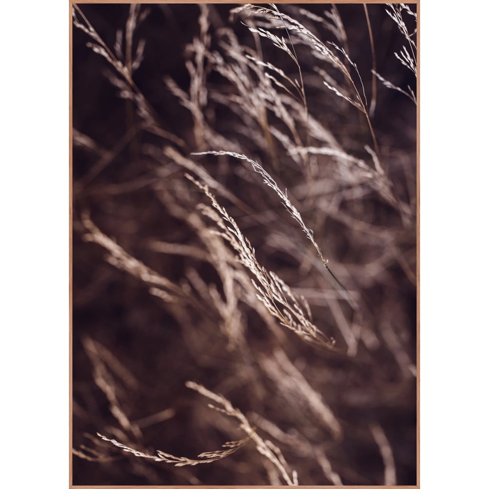 Poster cu ramă 50x70 cm Mellow Grasses 7 – Malerifabrikken