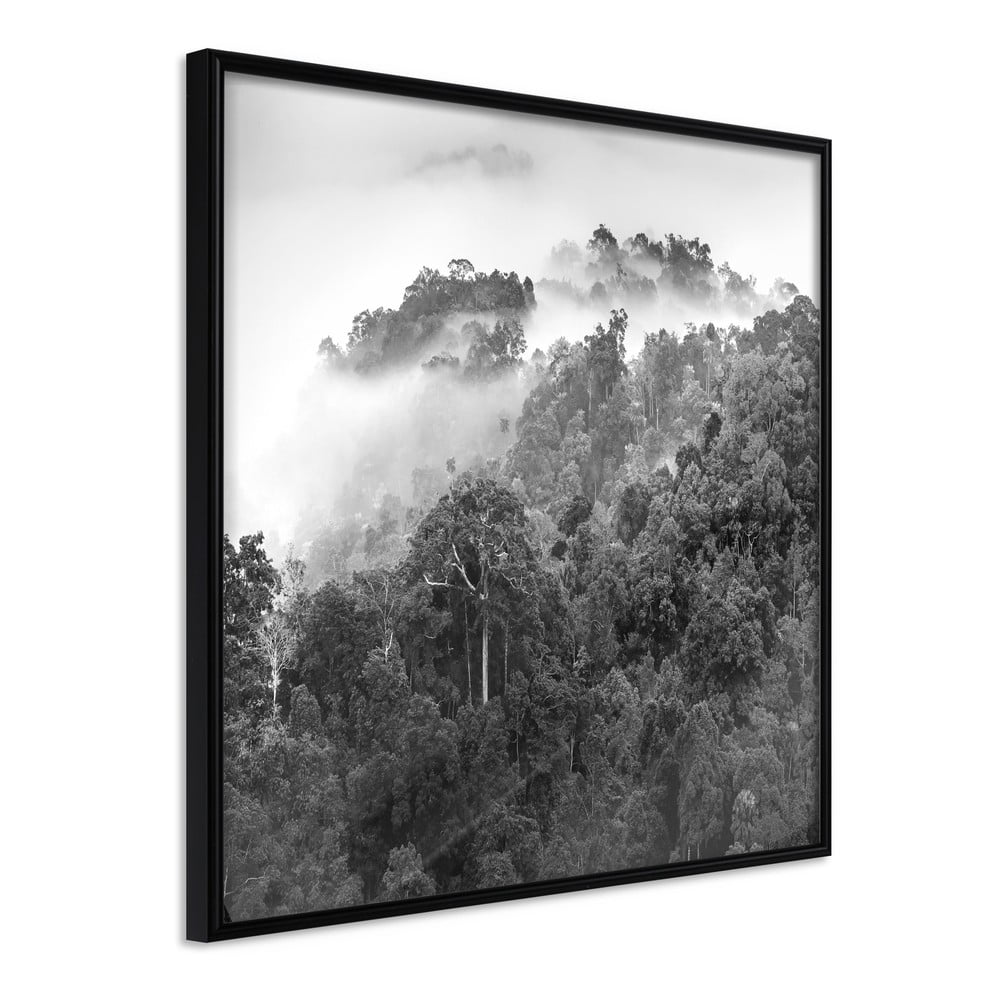 Poster cu ramă Artgeist Foggy Forest, 30 x 30 cm Artgeist imagine 2022