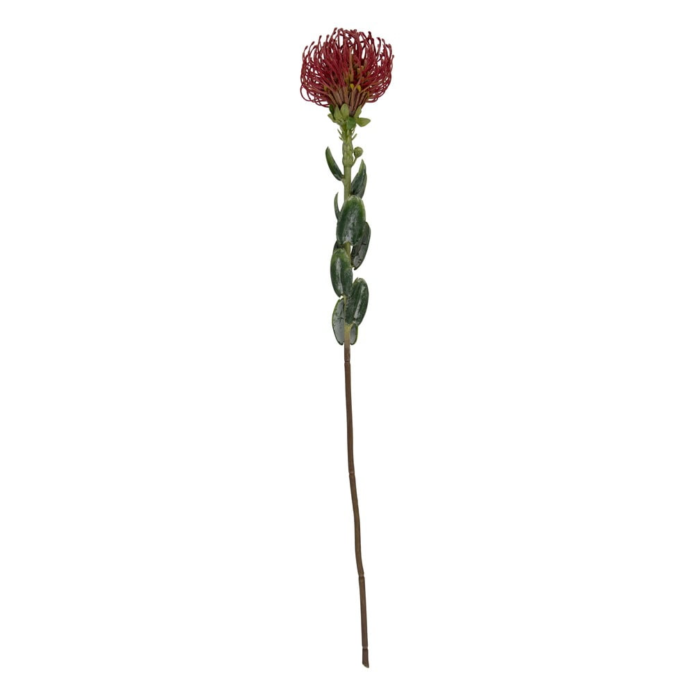 Plantă artificială (înălțime 73 cm) Protea – PT LIVING