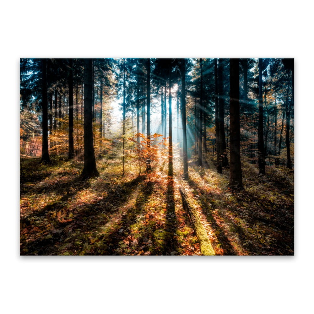 Tablou Styler Glasspik Autumn Sunset, 70 x 100 cm bonami.ro imagine 2022