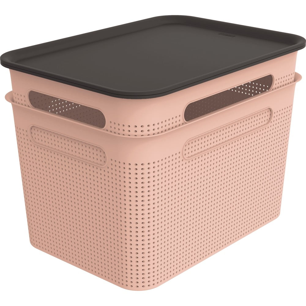 Cutii de depozitare roz-deschis 2 buc. din plastic cu capac 26,5x36,5x26 cm Brisen – Rotho