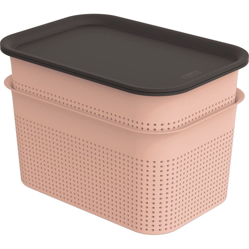 Cutii de depozitare roz-deschis 2 buc. din plastic cu capac 18,5x26,5x18 cm Brisen – Rotho