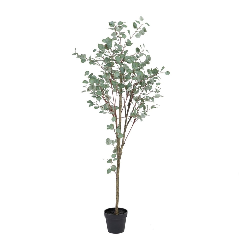 Eucalipt artificial (înălțime 180 cm) Eucalyptus – Ixia