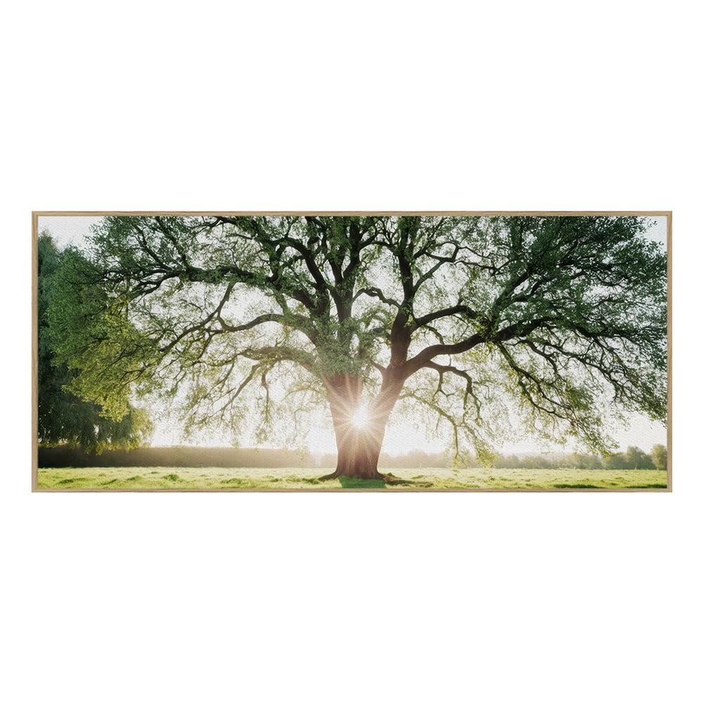 Tablou 150x60 cm Tree in the Sun – knor