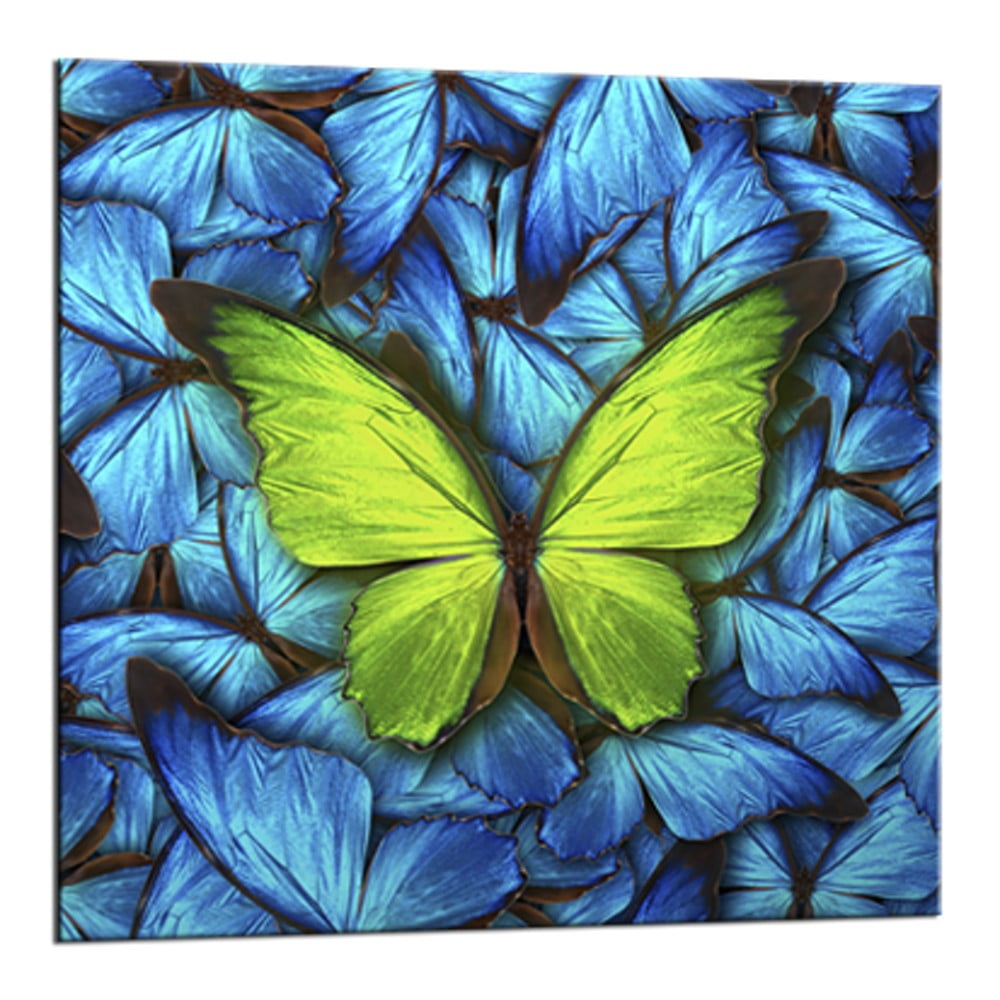 Tablou Styler Glasspik Blue Butterfly, 20 x 20 cm bonami.ro imagine 2022