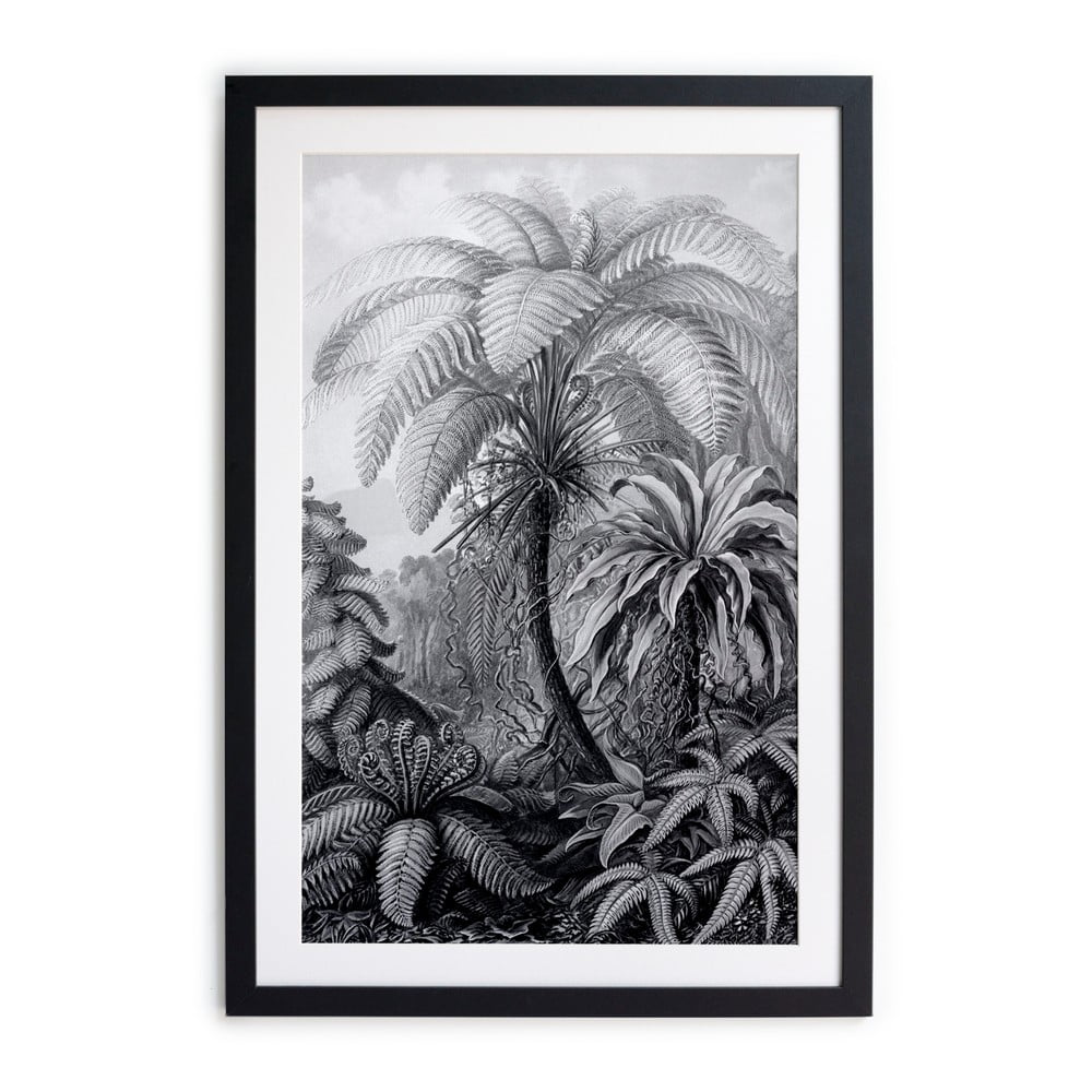 Poster Surdic Palm, 60 x 40 cm, alb – negru bonami.ro