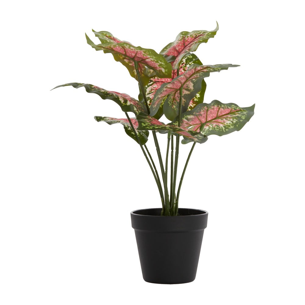 Plantă artificială (înălțime 40 cm) Caladium – Light & Living