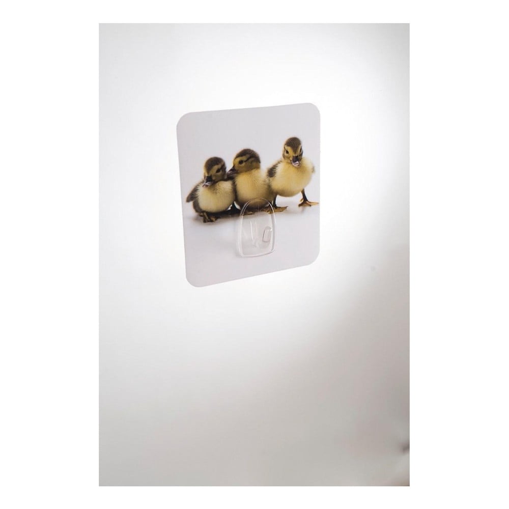 Cârlig de perete Compactor Magic Ducks bonami.ro imagine 2022