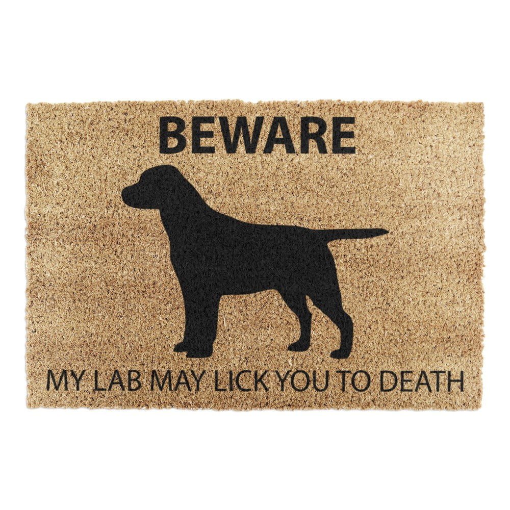 Covoraș de intrare din fibre de nucă de cocos 40x60 cm Labrador – Artsy Doormats