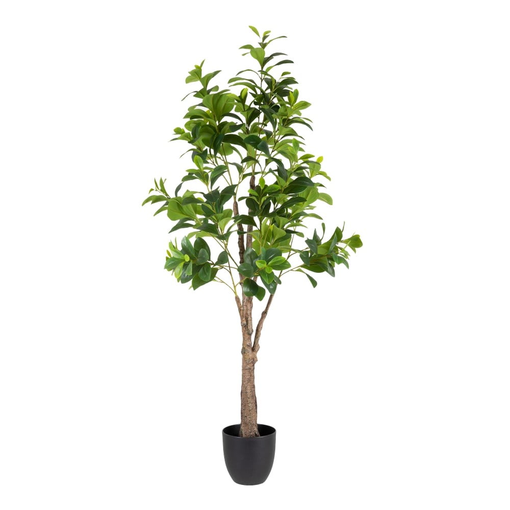 Plantă artificială (înălțime 145 cm) Peperomia – Ixia