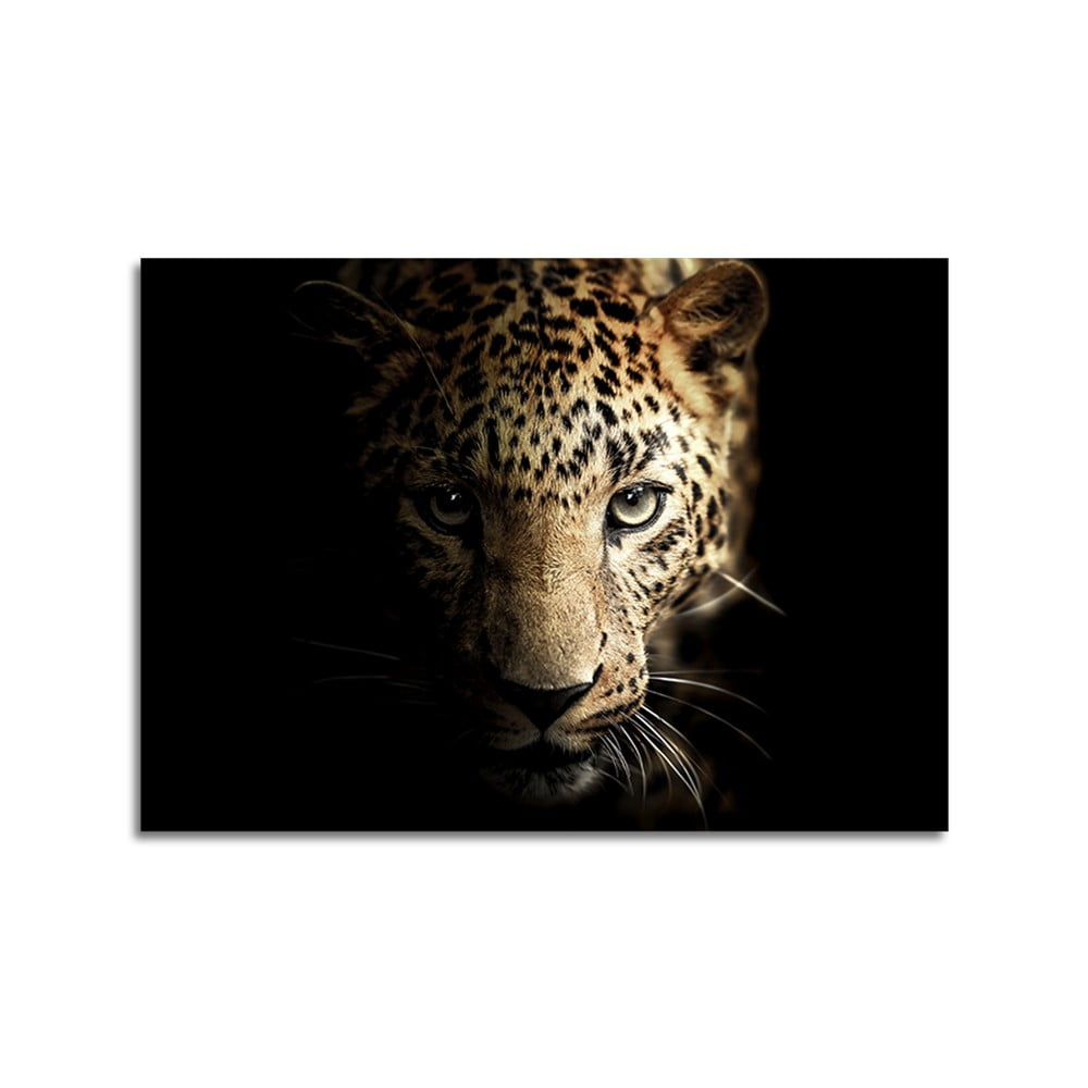 Tablou din sticla Styler Glas Animals Leopard, 70 x 100 cm