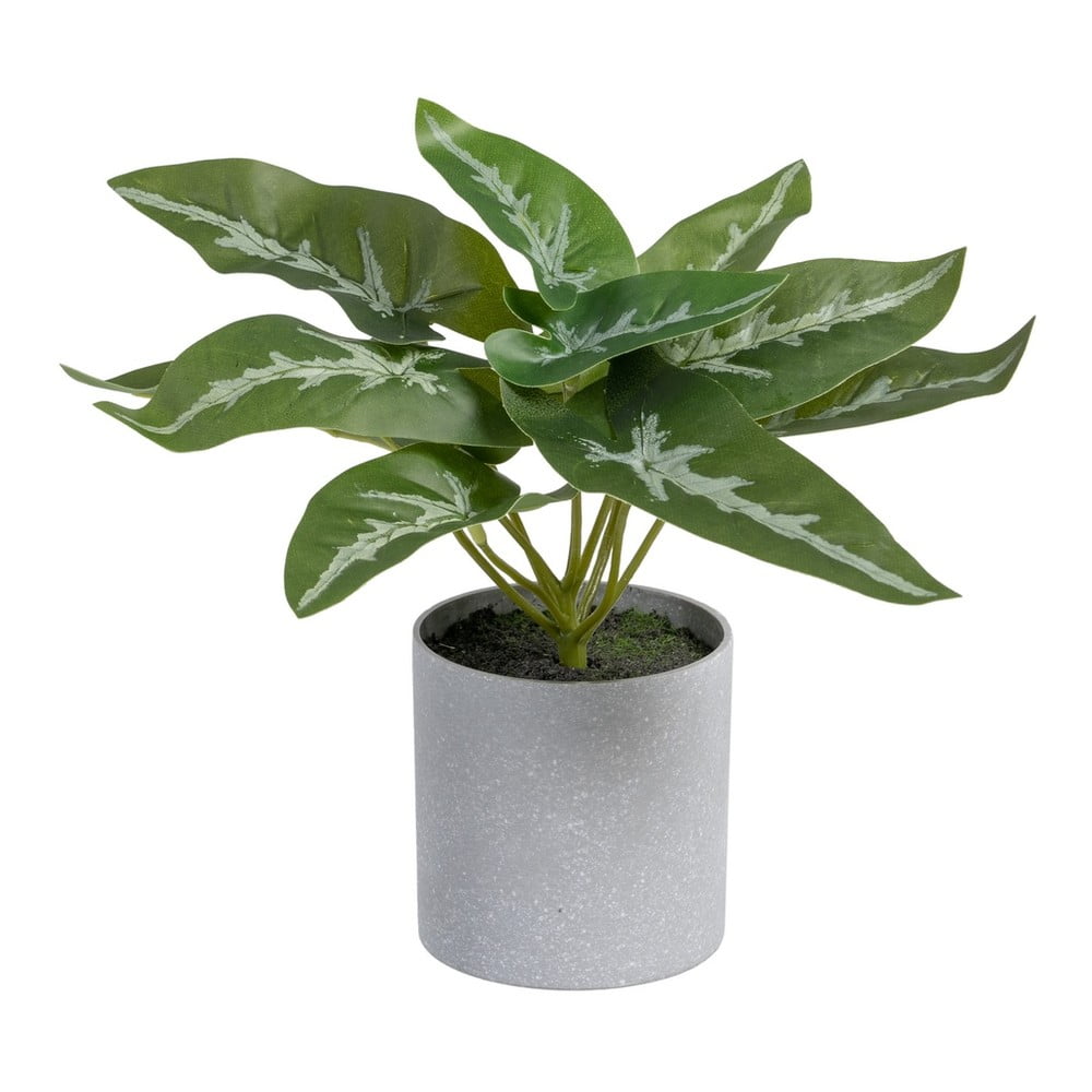 Plantă artificială (înălțime 21 cm) Syngonium – Ixia