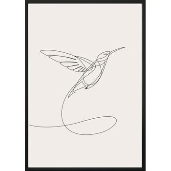 Poster cu ramă pentru perete sketchline/hummingbird, 50 x 70 cm