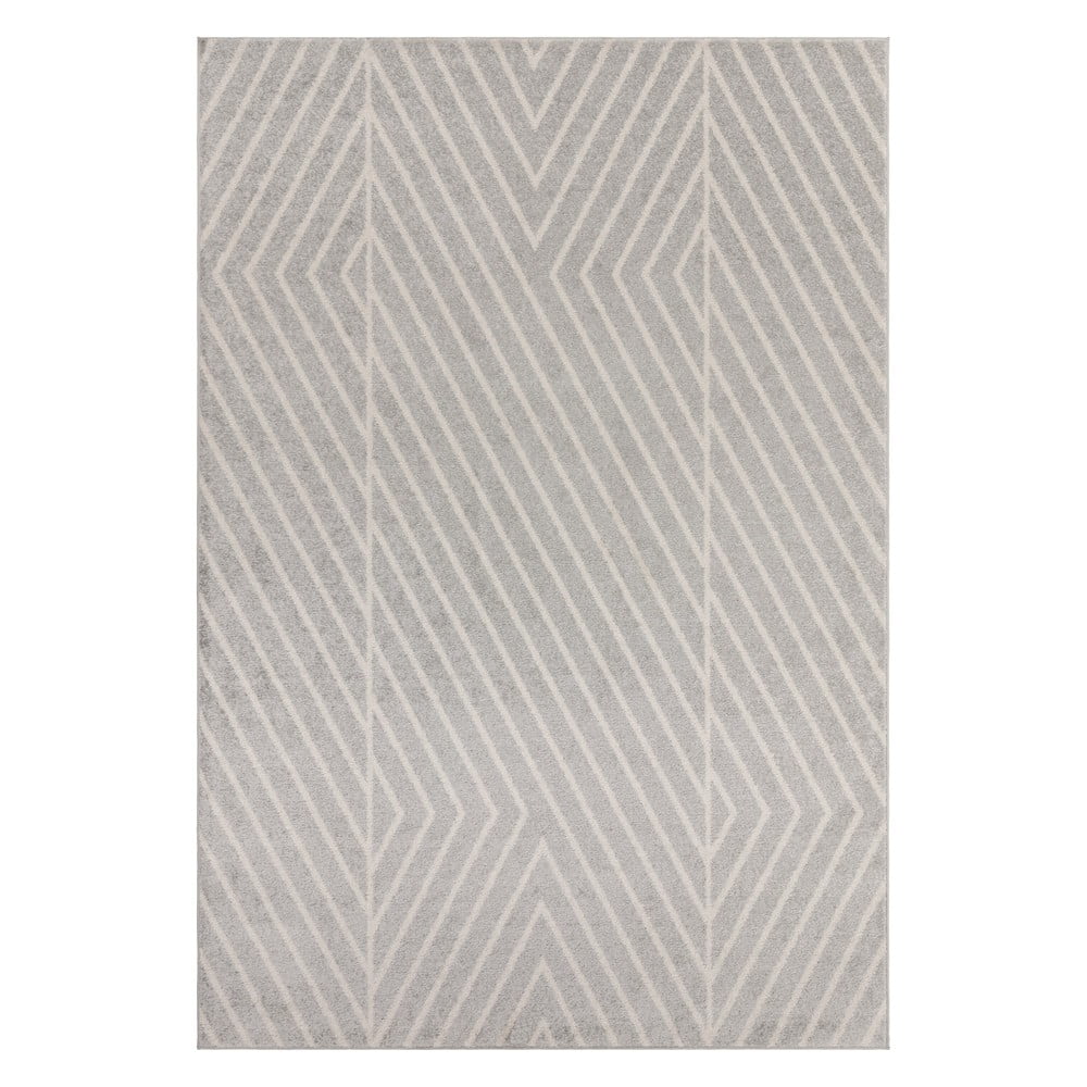 Covor gri deschis 120x170 cm Muse – Asiatic Carpets