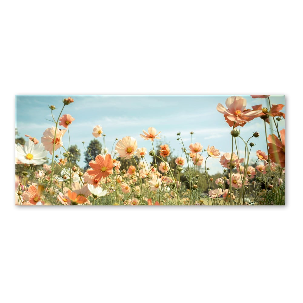 Tablou din sticlă Styler Yellow Meadow, 50 x 125 cm bonami.ro imagine model 2022