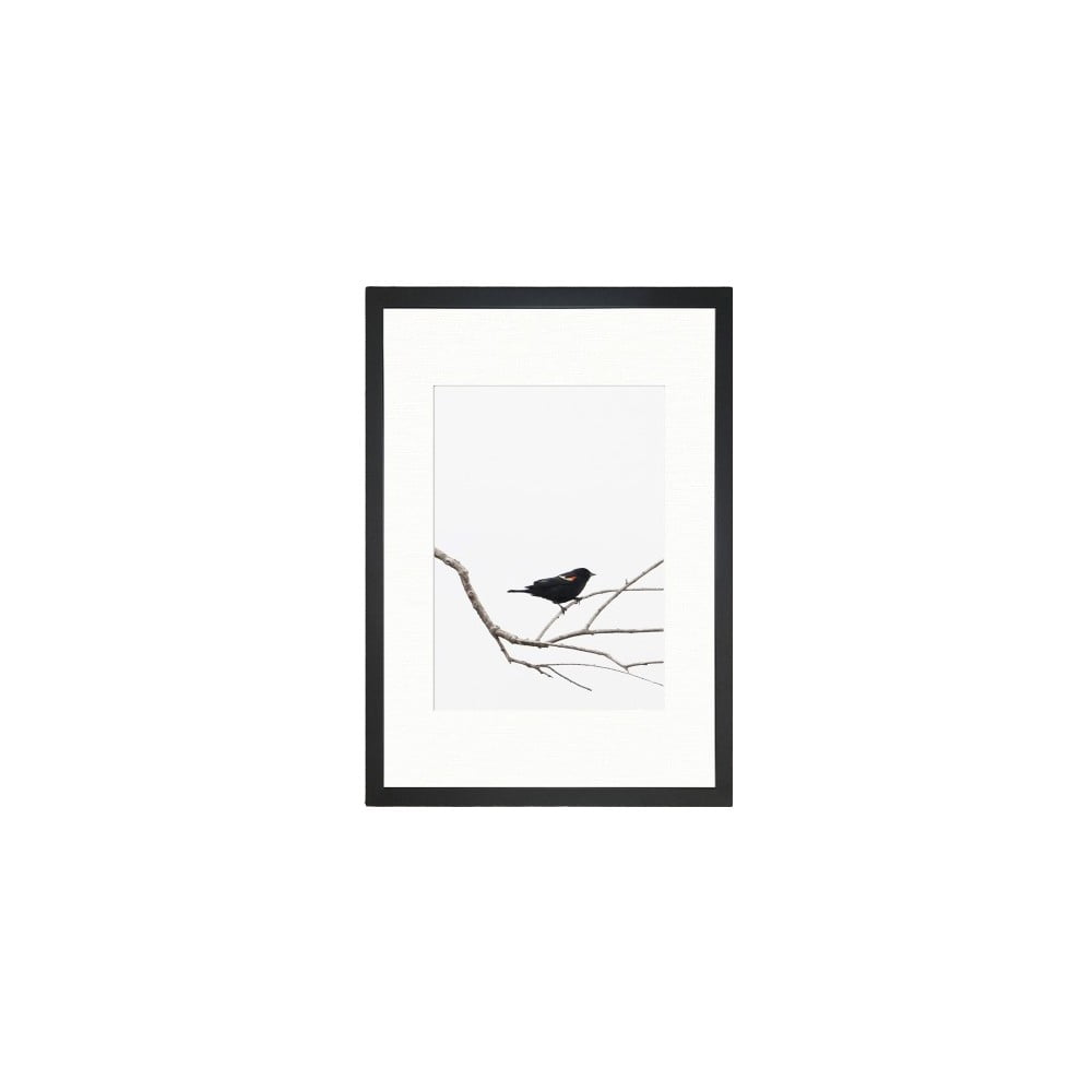 Tablou Tablo Center Birdy, 24 x 29 cm bonami.ro imagine 2022