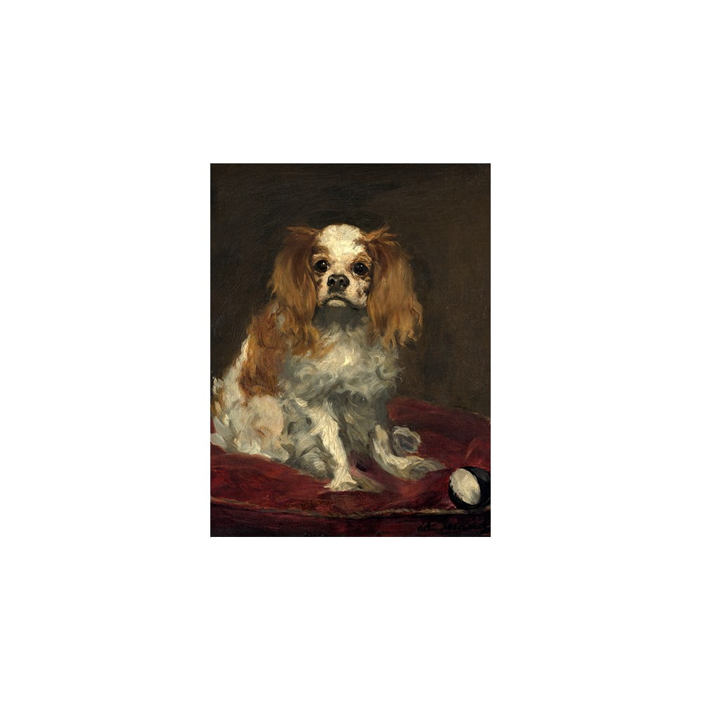 Poza Reproducere tablou Ã‰douard Manet - A King Charles Spaniel, 40 x 30 cm