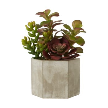 Plantă suculentă artificială în ghiveci gri de ceramică premier housewares fiori